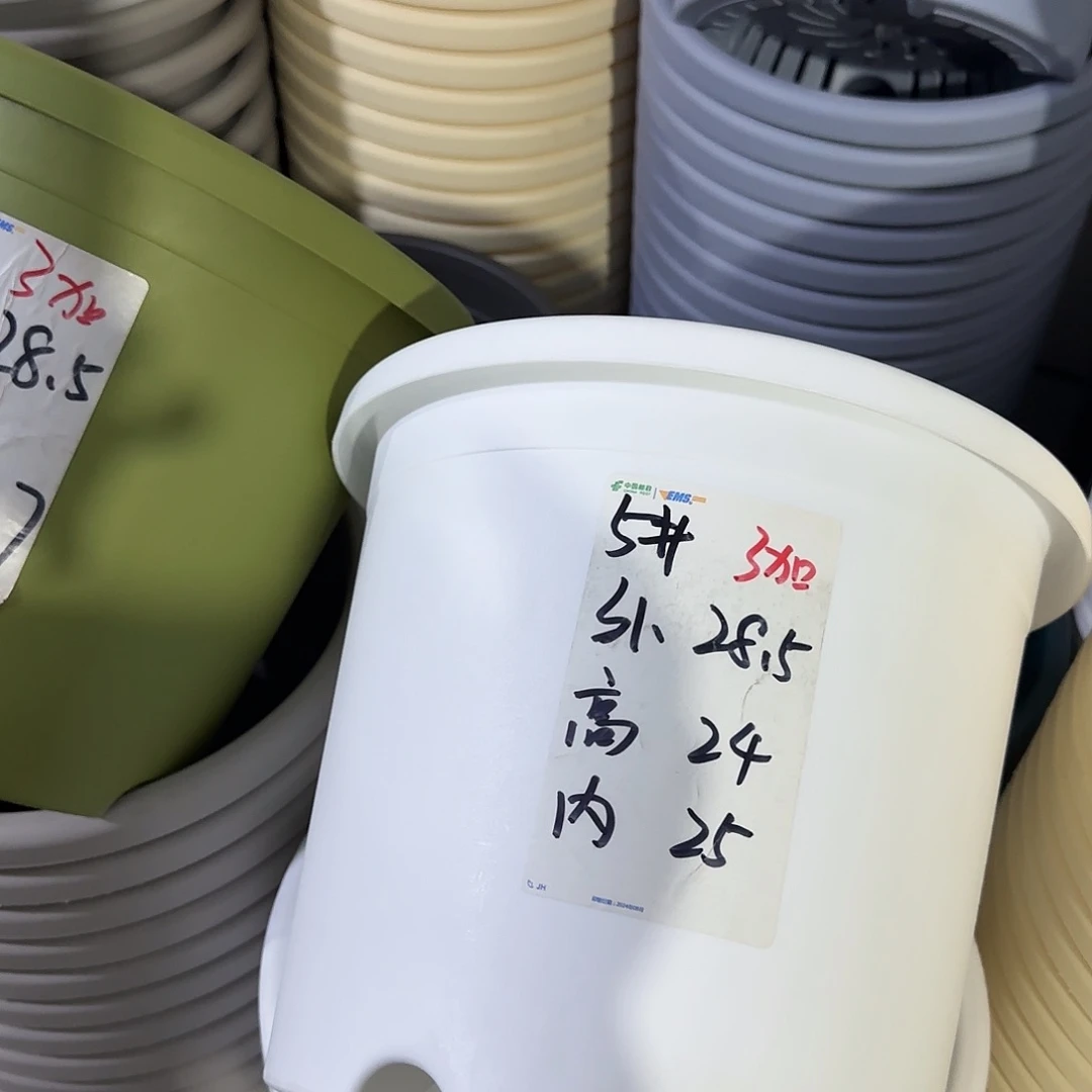 微瑕5号无托6个，白