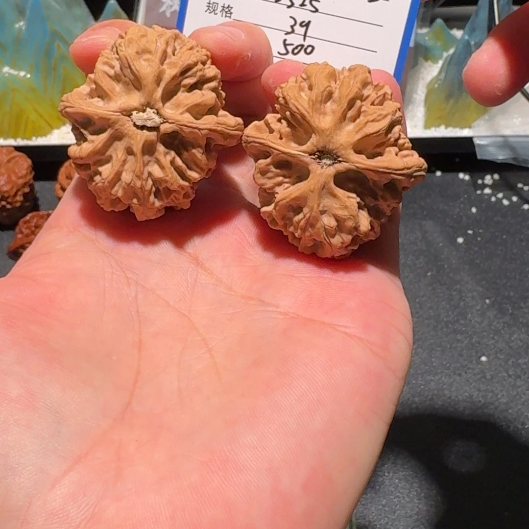 大***Z原树梨木台编号3325