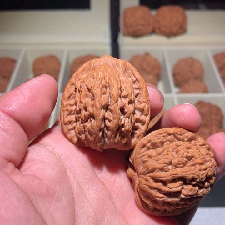 风****核桃虎头。