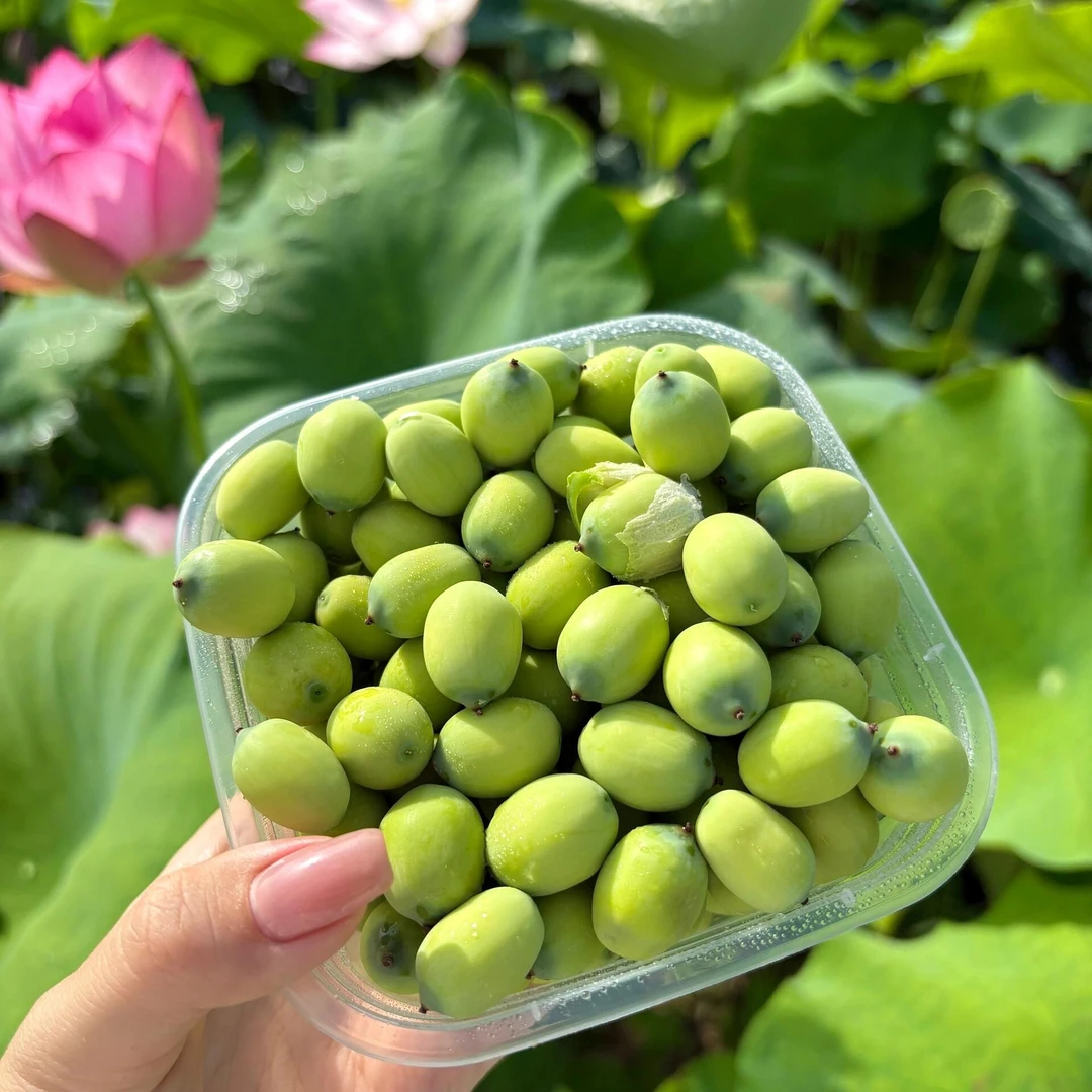 水果莲子(一盒约210g)