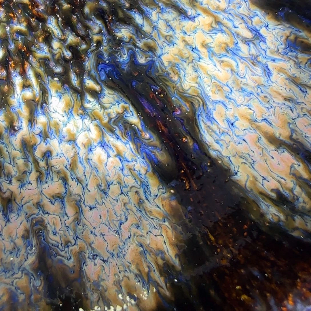 茶盏68 璞韵潭饶文星