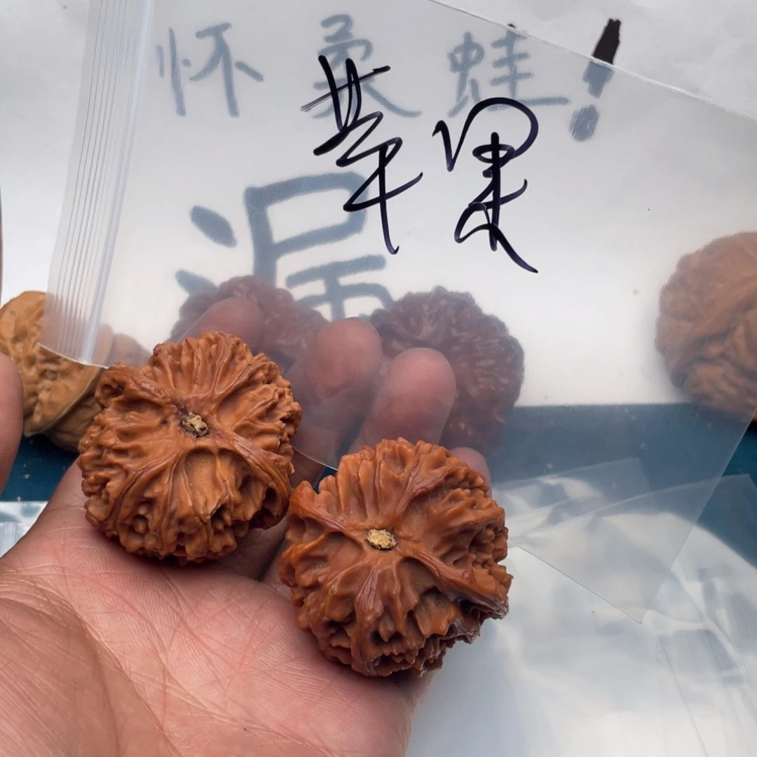 核桃537375537537357735735