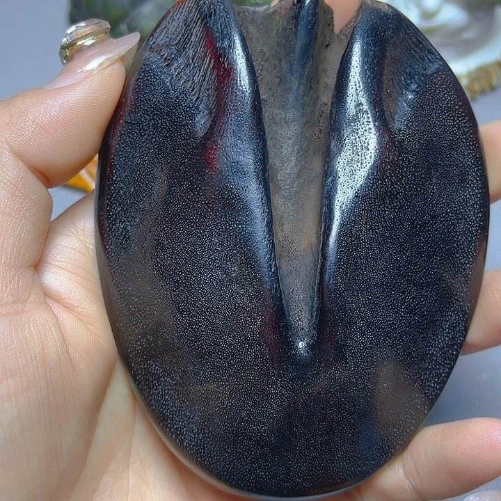 大果紫檀（缅甸花梨）