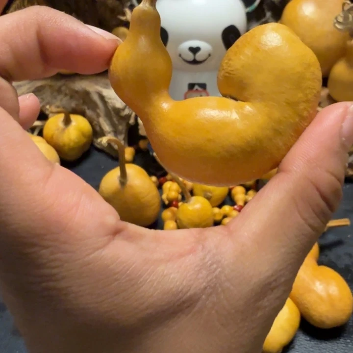 神***866……………………………………