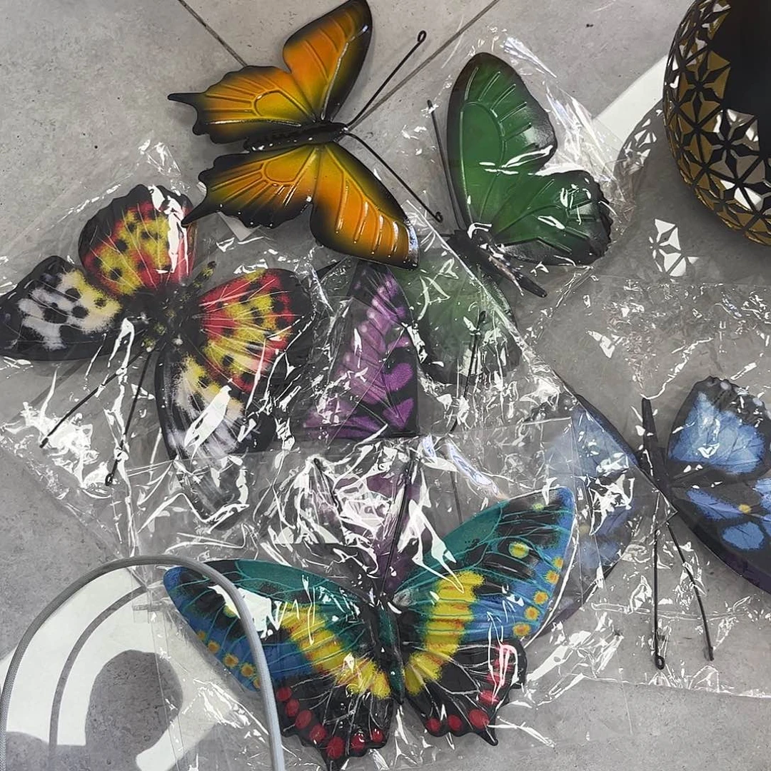 孤品给力哈哈哈哈哈姐姐