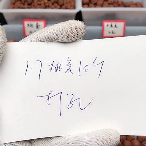 桃核吊坠雨***郎龙纹桃核的搭配