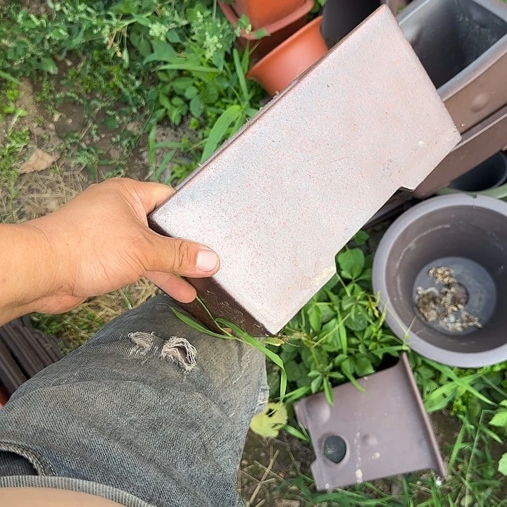 一哈来我这儿吃饭啊不