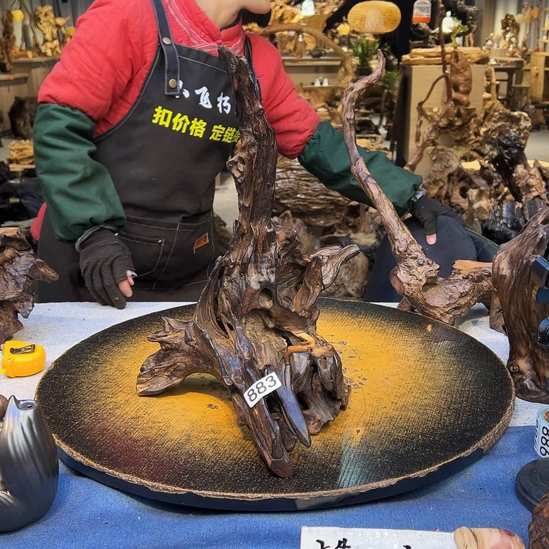 蓝***哥楠木883wwwwwwwwwwwwww