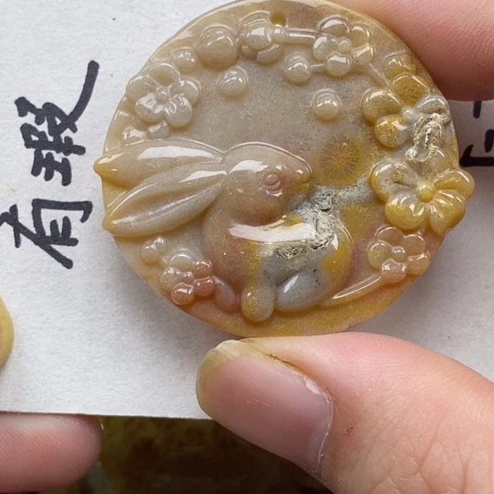 硅化珊瑚（珊瑚玉）未镶嵌颈饰