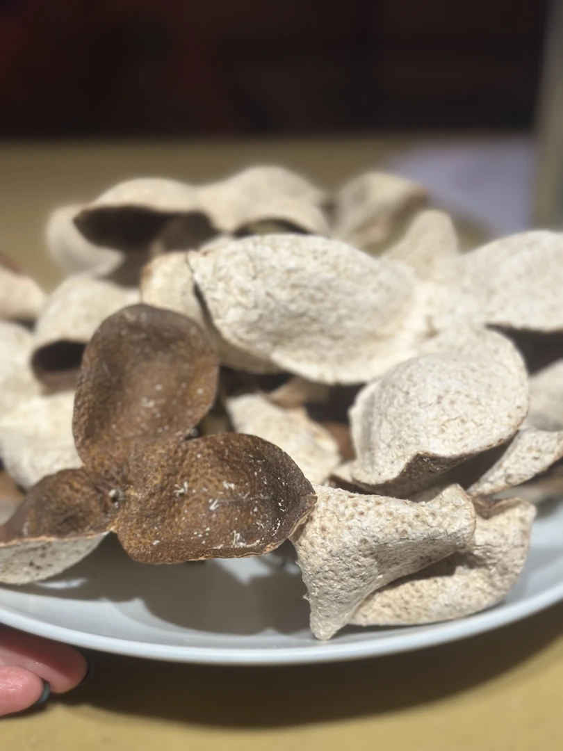 【适合存】2023年新会陈皮东甲老树圈枝