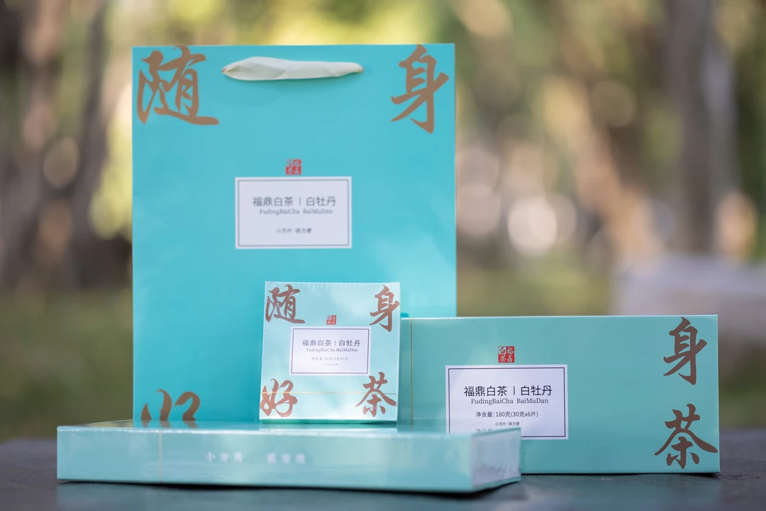 茶界小精灵福鼎白茶白牡丹