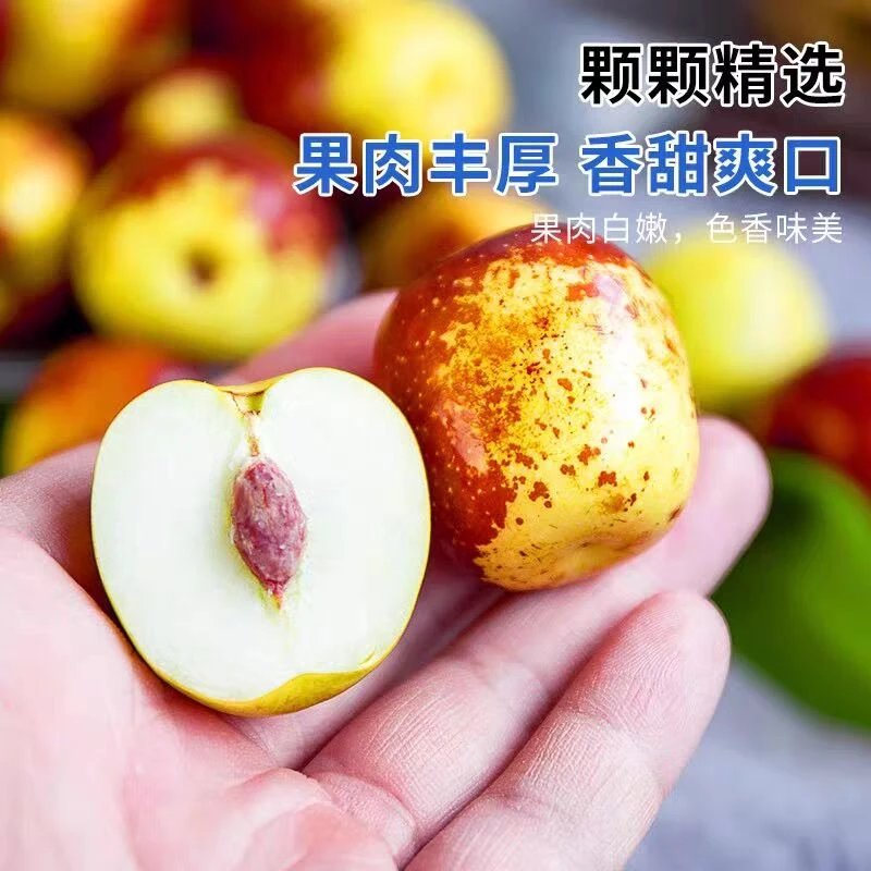 9.30 李【多仓发货/顺丰次日达】陕西大荔冬枣5斤装脆甜多汁丰富新鲜应季水果送货上门净重4斤陕西省