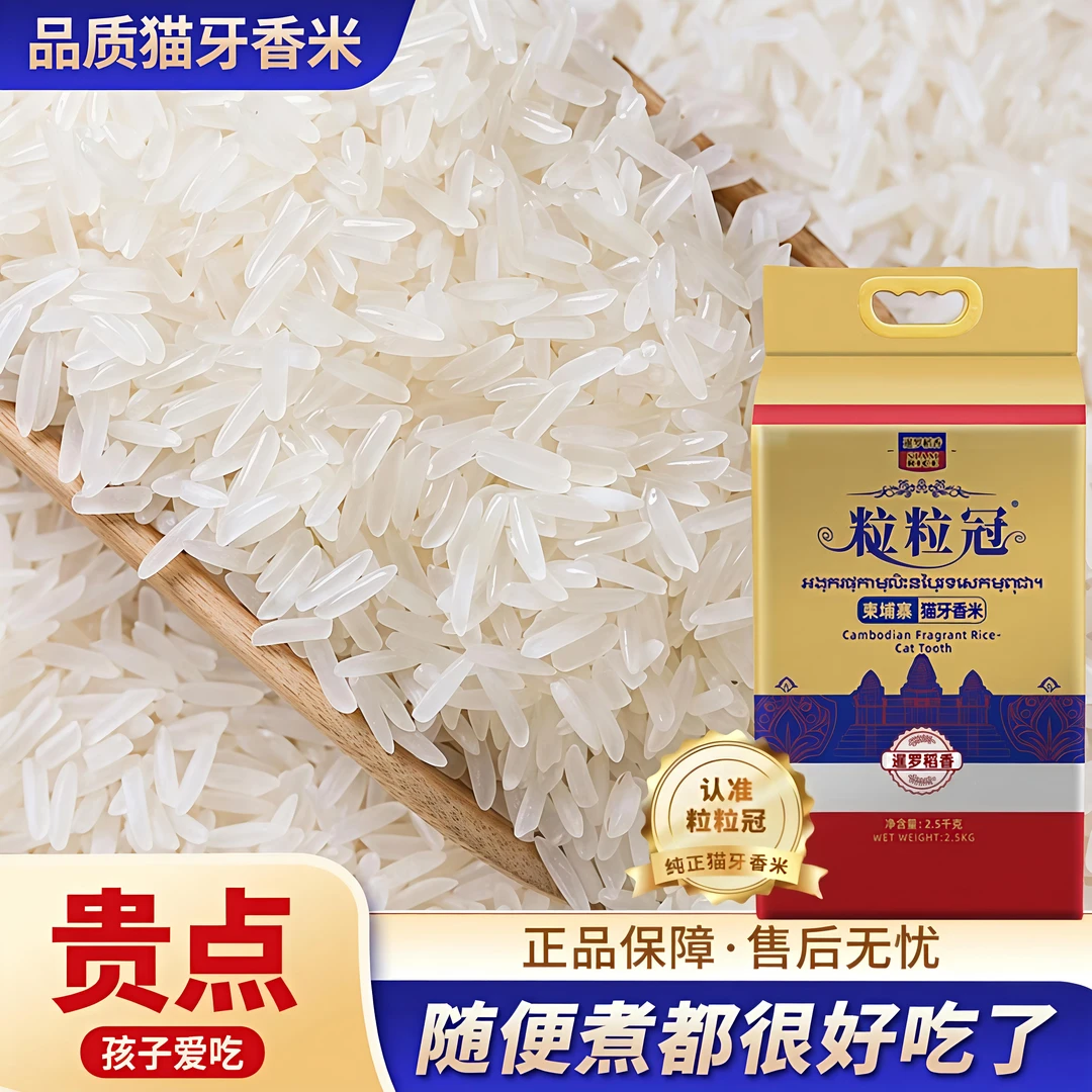 柬埔寨长粒猫牙大米香米原粮优质产地新鲜现磨真空包装5斤/10斤装