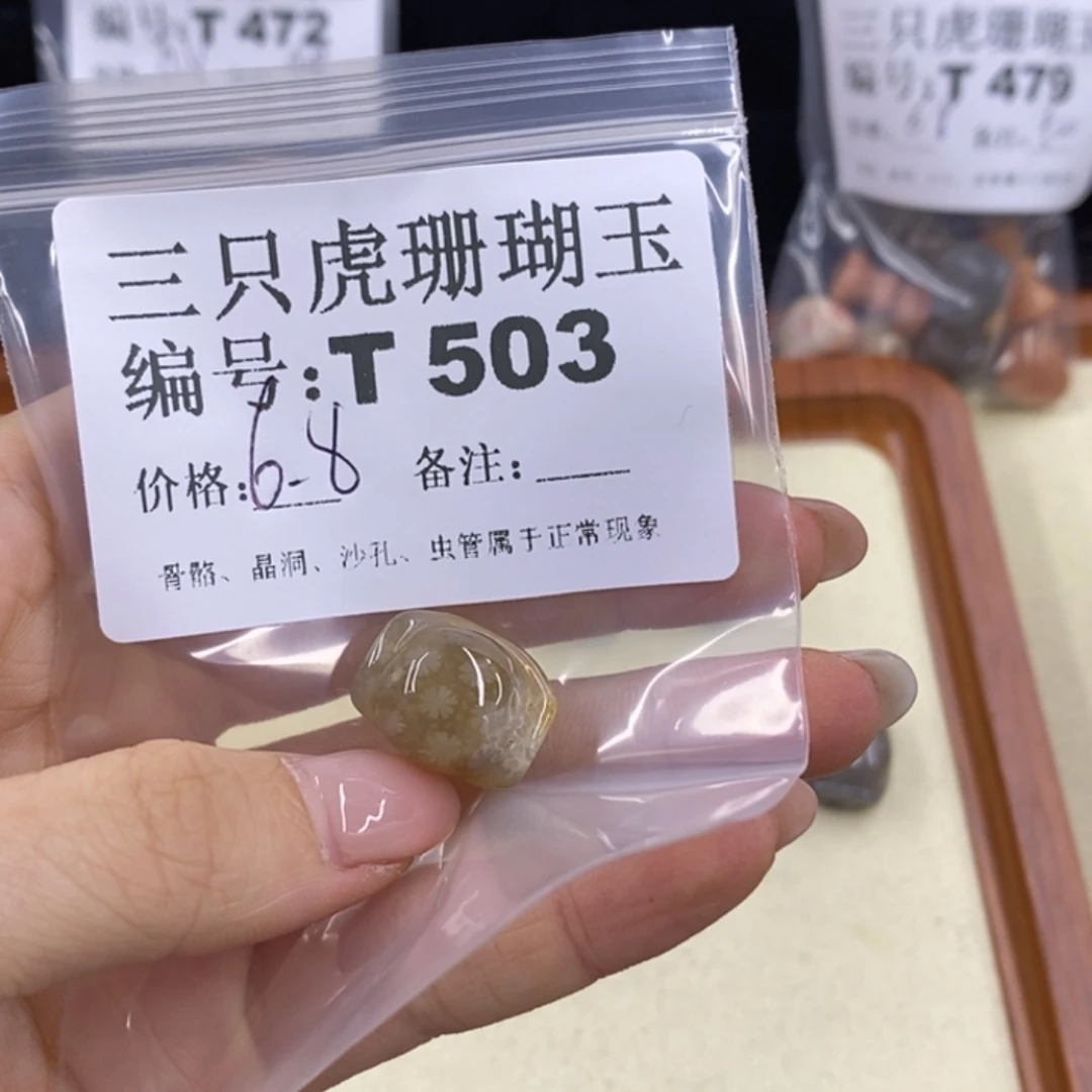 硅化珊瑚（珊瑚玉）1未镶嵌飞**包