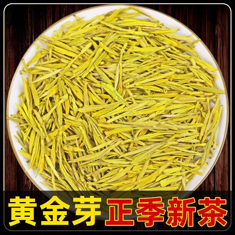 2025新茶黄金芽绿茶茶叶250g
