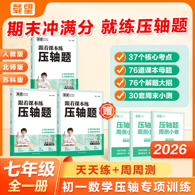 载望【跟着课本练压轴题】2025新版推荐专项训练初中天天练强化训练