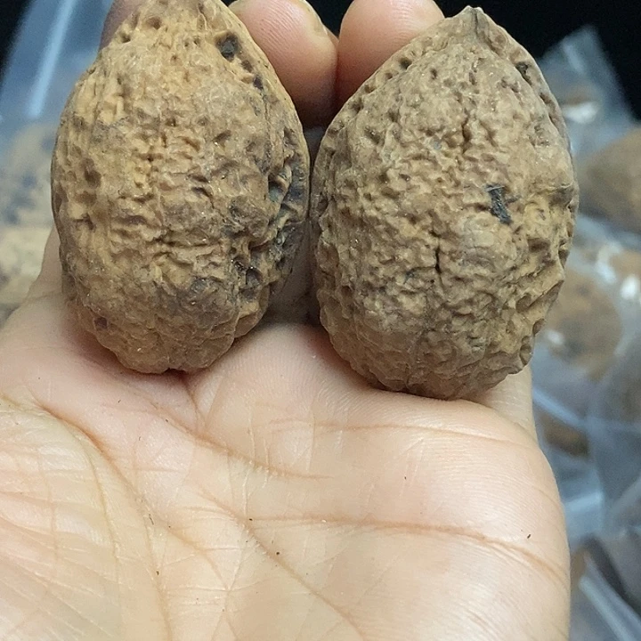 把件文玩核桃云南铁核桃基地73