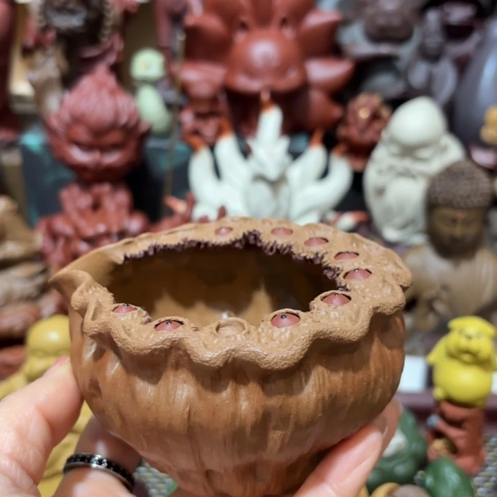 紫砂茶壶君*哈哈哈哈哈哈哈哈哈