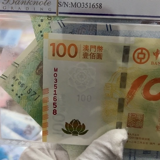 纸海**界四张全新保真包品