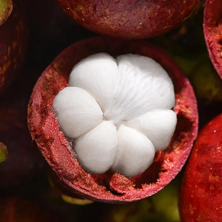 5A大山竹一斤装