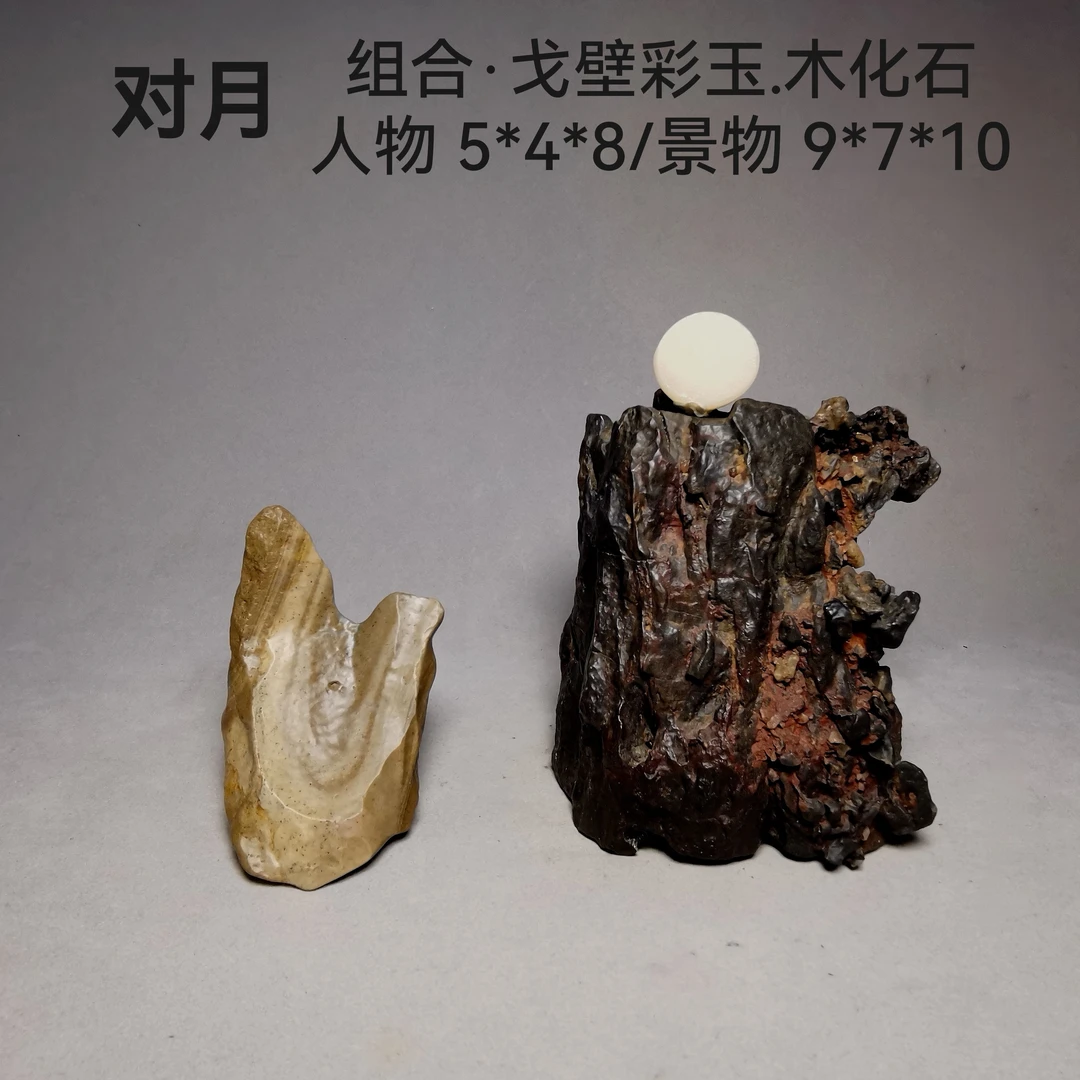 对月·组合石·戈壁彩玉.木化石