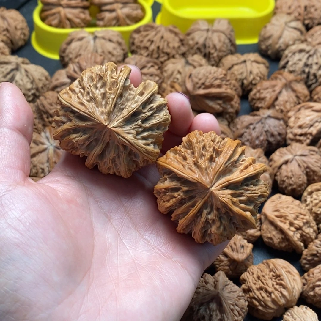 把件文玩核桃52野牛五棱