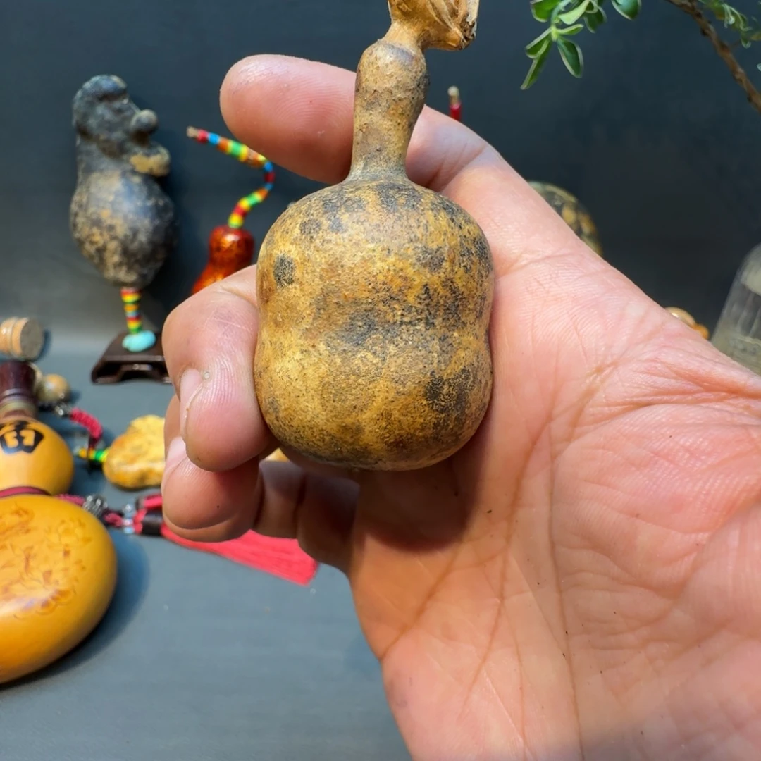 楠****嘎嘎嘎嘎嘎嘎嘎嘎