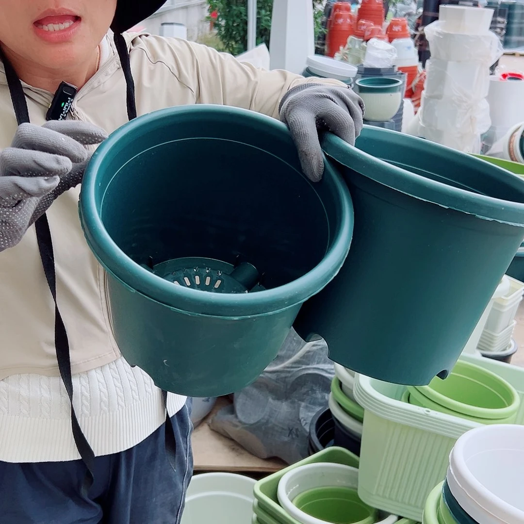 四季盆4#墨绿色8个无托