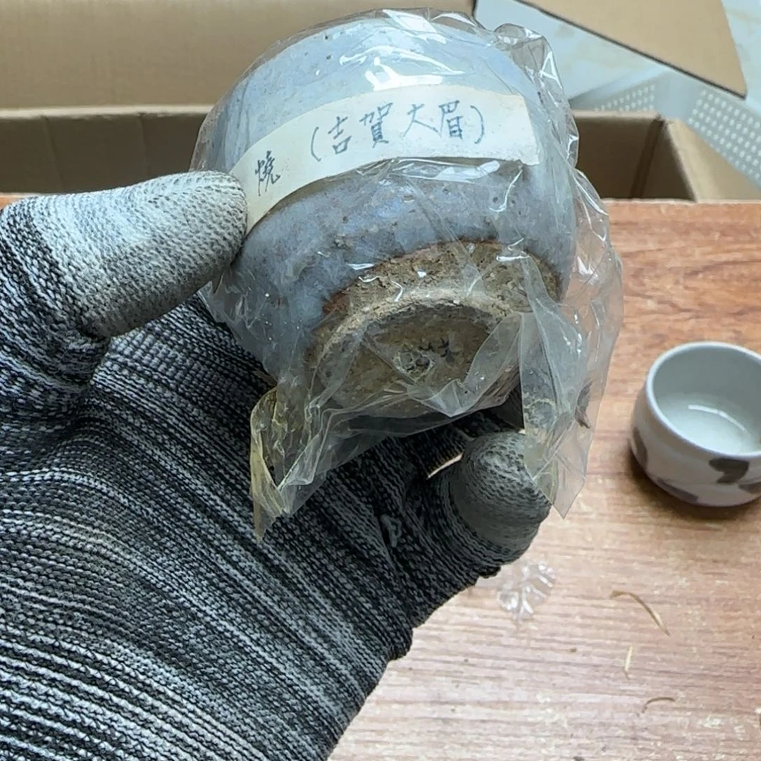 茶宠猛****腿青玉子也要开