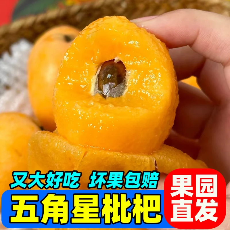 【软糯香甜】四川五角星枇杷龙泉当季新鲜现摘发货甜攀枝花大五星