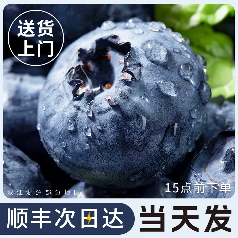 【抚仙湖】巨无霸22+M25花香蓝莓脆甜玉溪产地 新鲜 顺丰100克/盒
