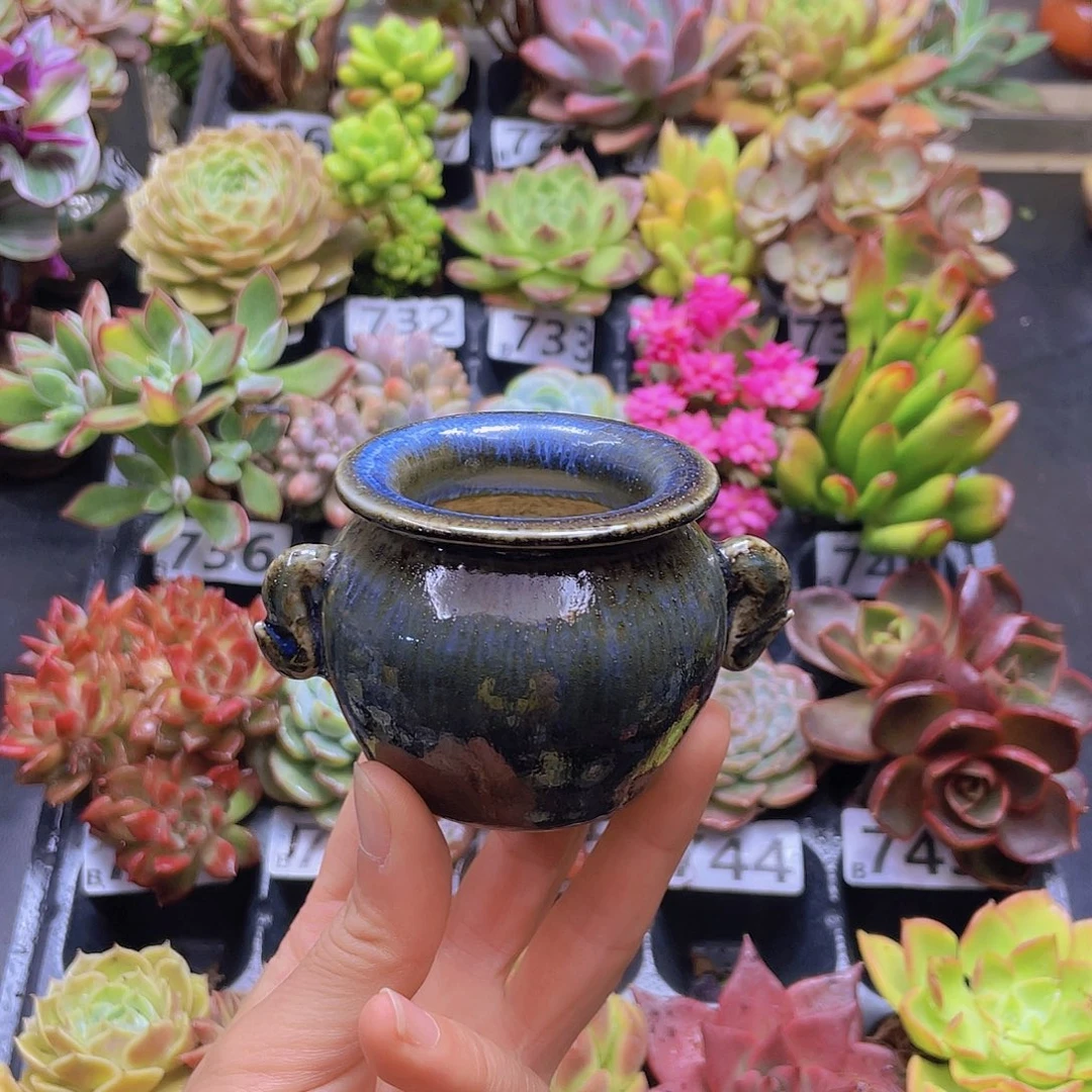 青****花钱花钱花钱花钱