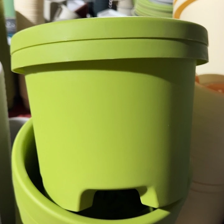 球根盆3号果绿无托5个