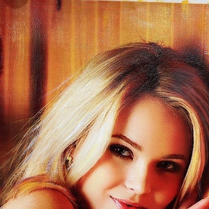 日新画作欣赏作品