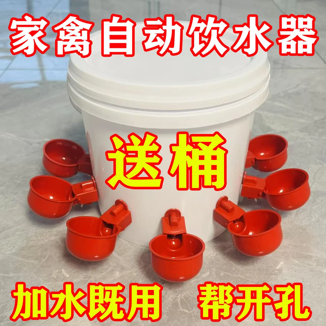 鸡鹅鸭适用的家禽养殖自动饮水喂食器带桶的幼鸟雏鸡专用饲养用饮