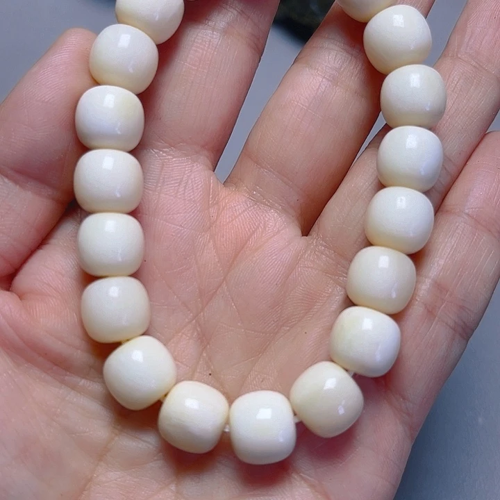 大果紫檀（缅甸花梨）