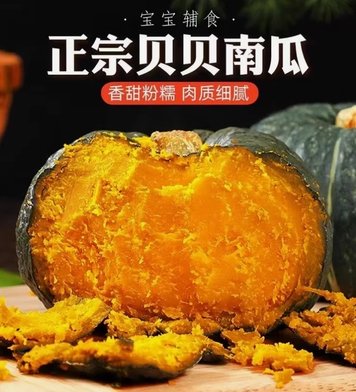 新鲜采摘沙地贝贝南瓜粉糯细腻香甜可作宝宝辅食