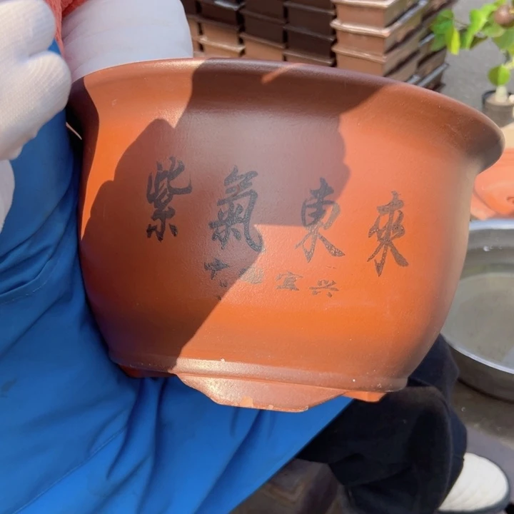 30紫气东来花盆花盆花盆花盆