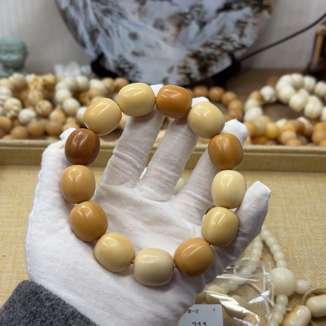 吊坠菩提根/象牙果20干磨瑕疵牙果枣258