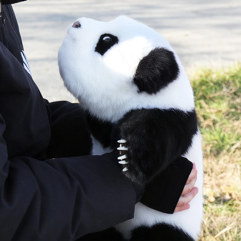 栩如生新品上市栩如生熊猫工厂官方正品3月福多多仿真熊猫礼物