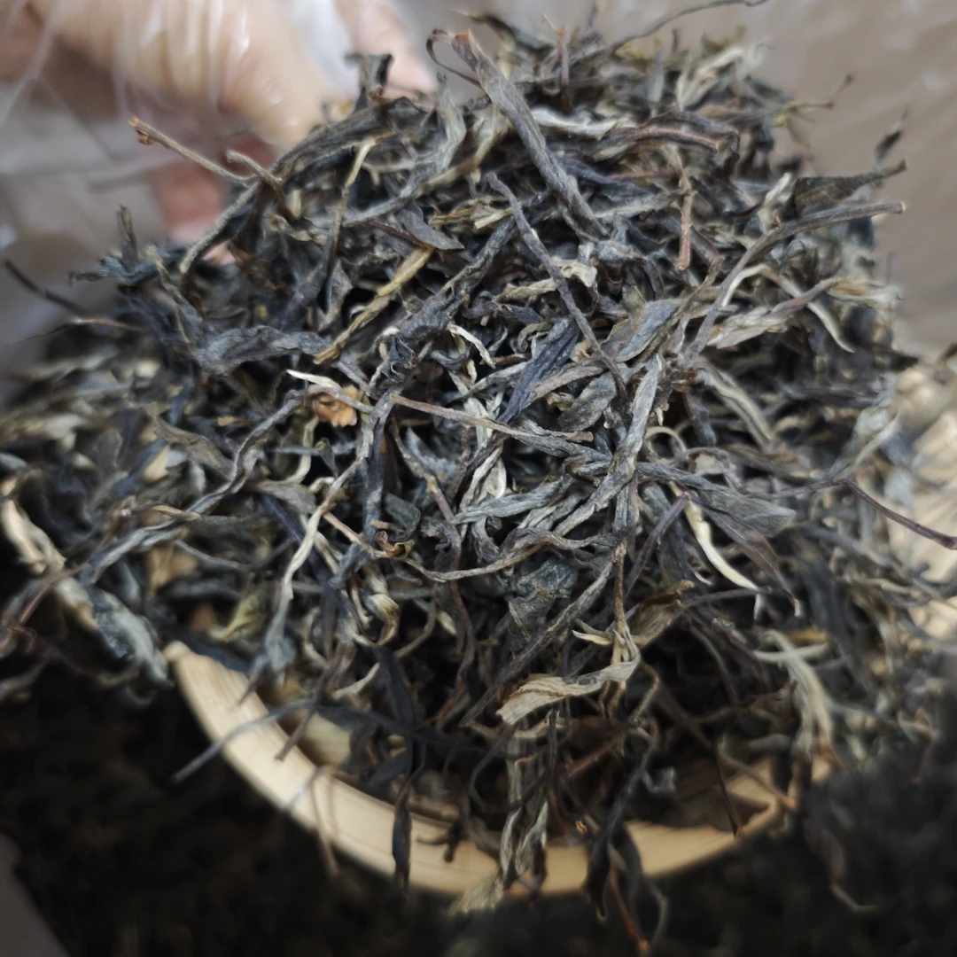 2024年临沧南美荒山（小多依树山）自家一年只采一季的普洱头春生茶