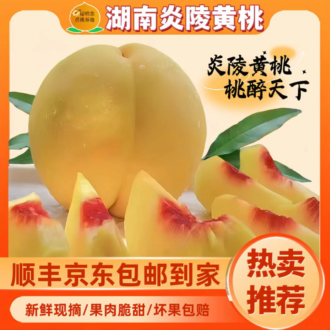 正宗湖南炎陵黄桃现摘现发顺丰京东包邮高山黄桃送礼礼盒装24个