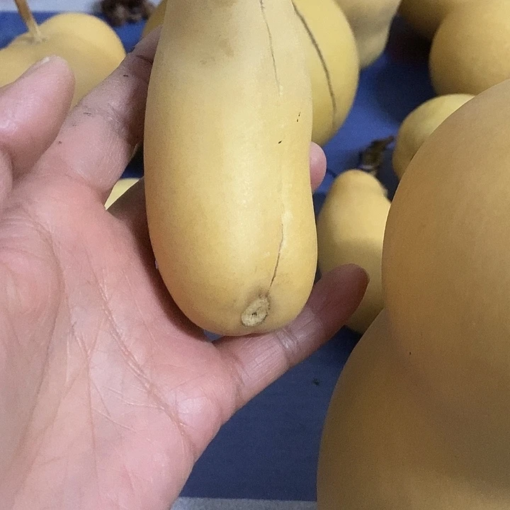 皮****葫芦手把件摆件葫芦