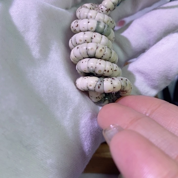 落***风星月菩提手串海南