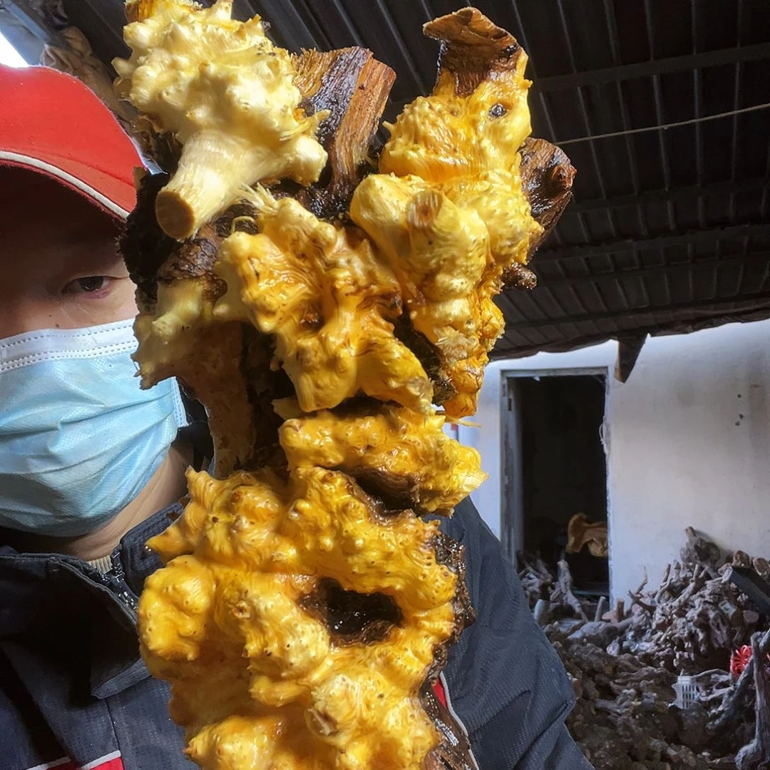 心***风无花朵0000000000000000