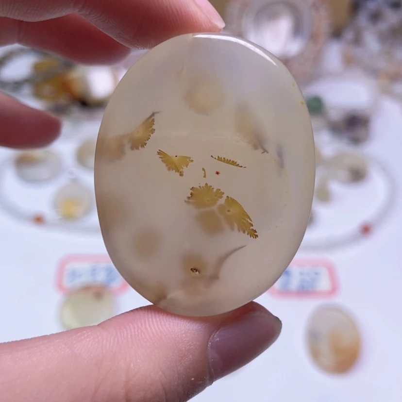 【闪购商品】玛瑙/玉髓颈饰未镶嵌