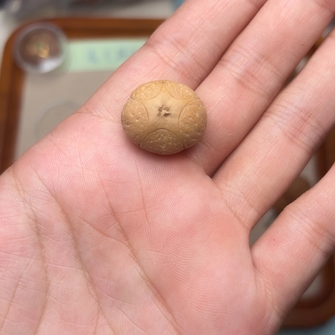 凤眼菩提手串五星单颗20.7
