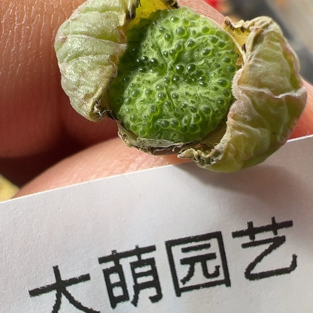 0000173 一物一拍……