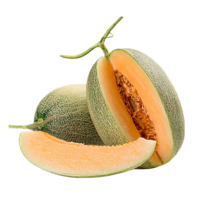 网文蜜瓜（个）