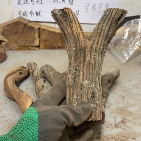 大果紫檀（缅甸花梨）N*